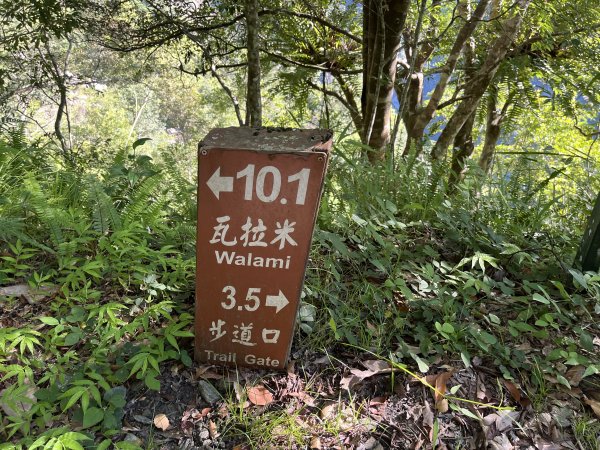 [玉山尋寶任務-03/12] 2025_0810 瓦拉米步道2857532