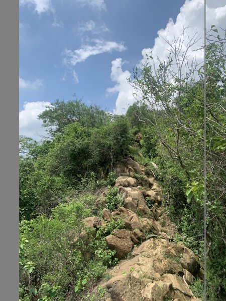 20240608高雄北旗尾南山-北旗尾山-旗尾山2523580