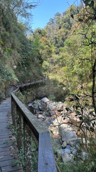 裡冷上唐麻丹O繞+蝴蝶谷2742935