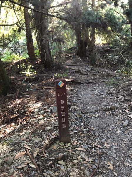 谷關七雄  老二  馬崙山  郊遊1469058
