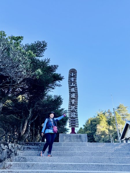 230林道糜爛去    2025.2.28-3.12733781