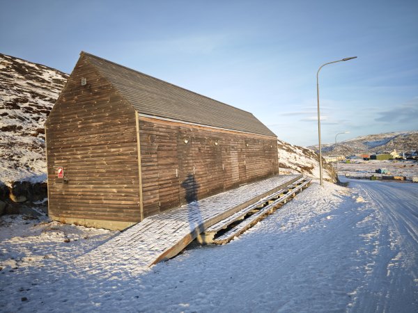 [紐約馬之行-32] 2025_1106 格陵蘭犬2947910