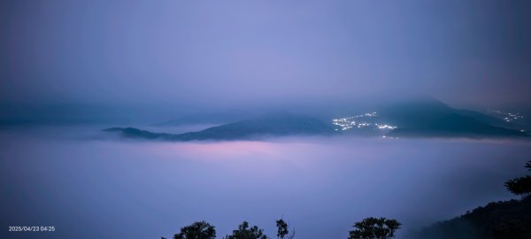#翡翠水庫 #鱷魚島  #藍腹鷴 4/232768278