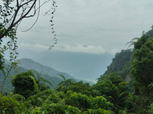 #64小百岳崁頭山、獅額山2528562