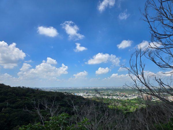 大肚環保公園3081846