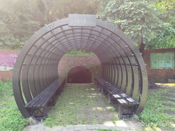 象山公園→糶米古道→土地公嶺步道→博嘉山2790322