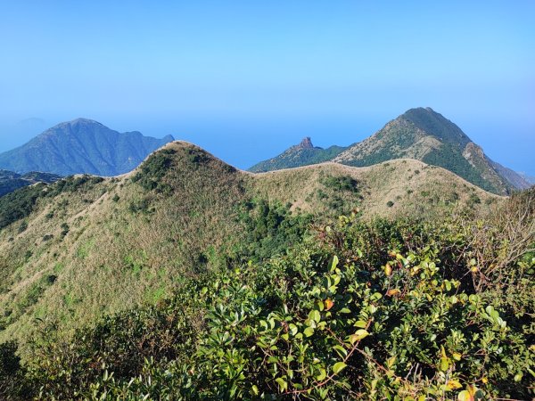 半屏山/燦光寮山賞芒花2412005