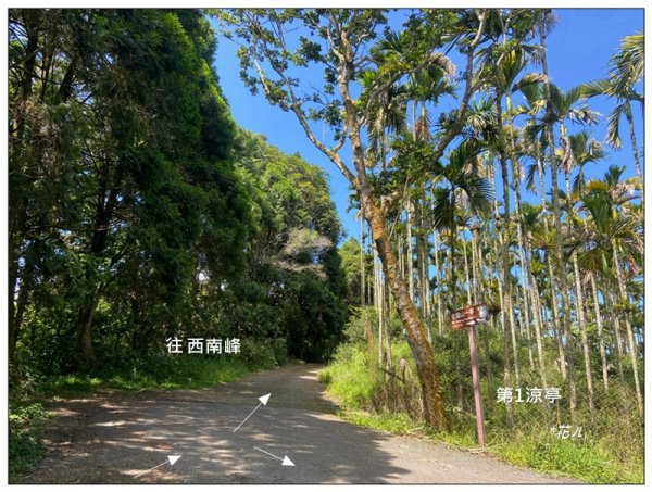 槌仔寮山、槌仔寮山西南峰、金龍山步道 連走2846704