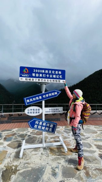 川藏318熱門的卡點-尼瑪-當惹擁措-大地之樹-雅丹地貌聖象天門2905213