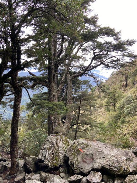 20230515-16玉山前西峰+遠望雨中的主東北2436653