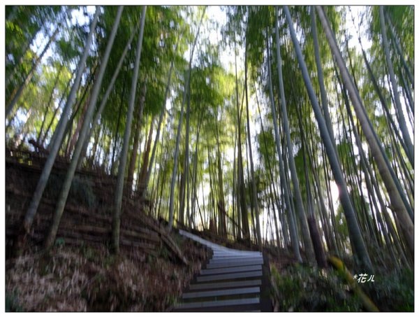 奮起湖大凍山(小百岳)1614088