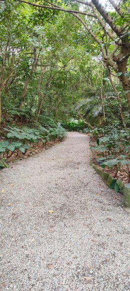 福州山公園3002481