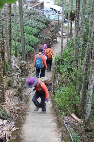 20210417雲林後棟仔山大尖二尖山1358935