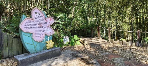 2026/05/31_白蘭溪古道O型3066878