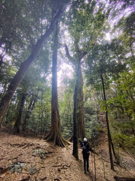 長壽山、肥崠山、醜崠山、大崠山、大崠山經建版2931558