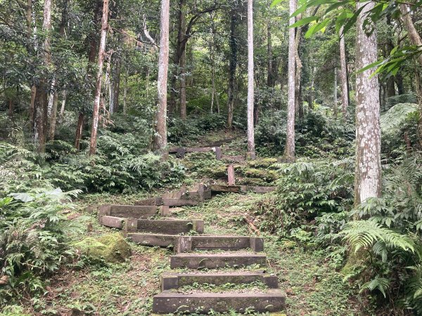 五指山橫向步道2569517