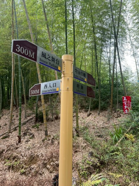 嵐山再古坑。五元兩角 木馬古道2806179