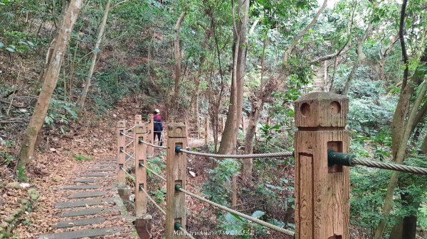 《彰化》古意人文｜員林18觀音O繞大峰巷挑水古道202504122759452