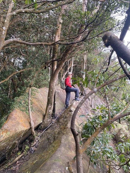 坐公車接駁的神仙縱走2707412