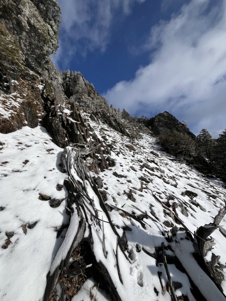 八大秀雪攀初體驗，銀白色中央山脈2413126