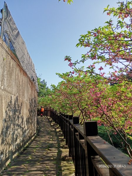 東湖樂活公園→内溝溪步道→內溝溪生態展示館→真武山→油桐嶺→內溝山→翠湖→北港二坑礦場遺址→金龍湖2433182