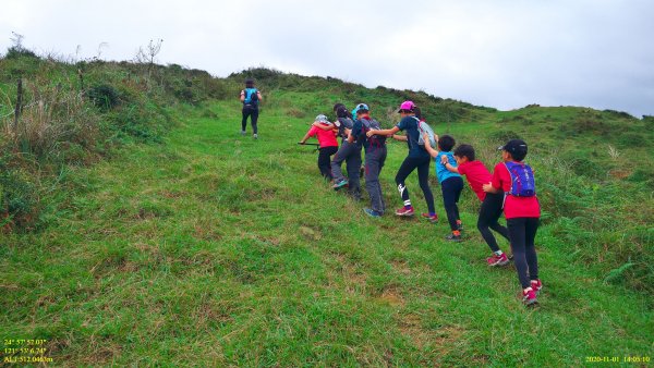 芒裡偷閒-大嶺古道飛越桃源谷1155253