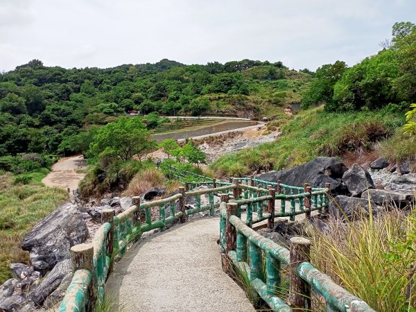 《龍飛鳳舞的龍鳳谷步道》1447222