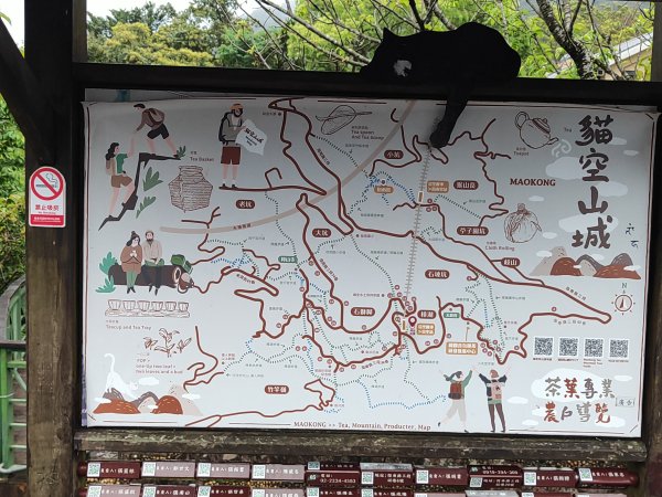 臺北大縱走第七段&第八段3019197