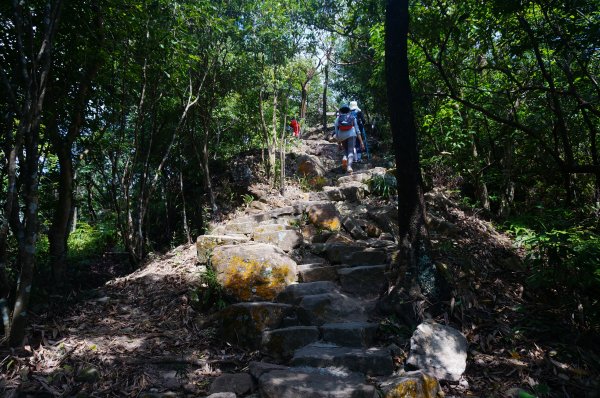 台北 金面山親山步道2063078