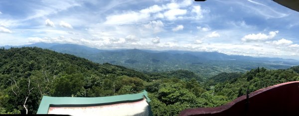 薑麻園桐花步道202006271965414
