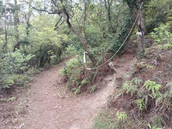 北投區大砲岩-石壇山-大師岩-湯守山-熱海岩場-八頭山-烏尖連山-軍艦岩3027346
