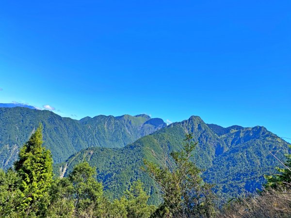 八仙山駐在所、東八仙山、八仙山O型走  1133181