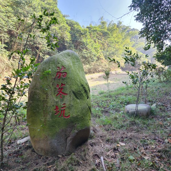 坑內坑森林步道2410482