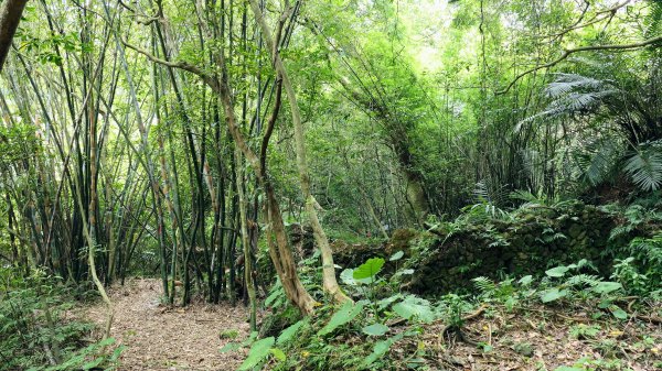 玉田古道,大湖越嶺保甲路2582318