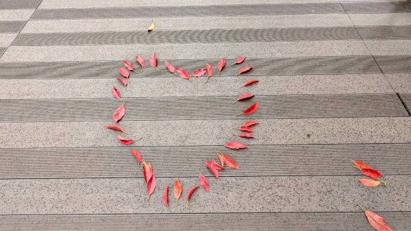 貓囒山步道2928530