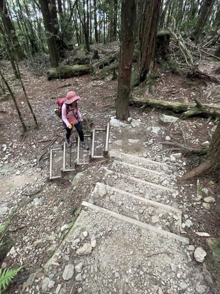 八仙駐在所 上 東八仙 接 八仙山 O繞 2023/07/082216878