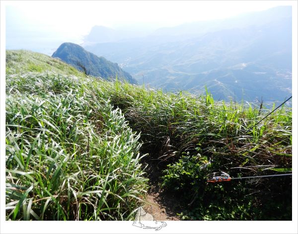 陡滑黃金一稜‧基隆山雷霆峰296171