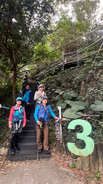 頭嵙山二嵙山O形2690501