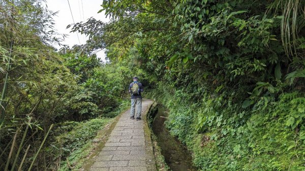 112.04.29走遍陽明山尋寶任務之坪頂古圳步道2137396