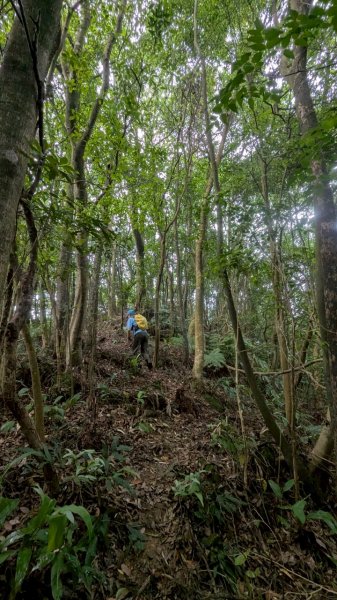 114.05.17聖人崙-聖人瀑布之旅2789522