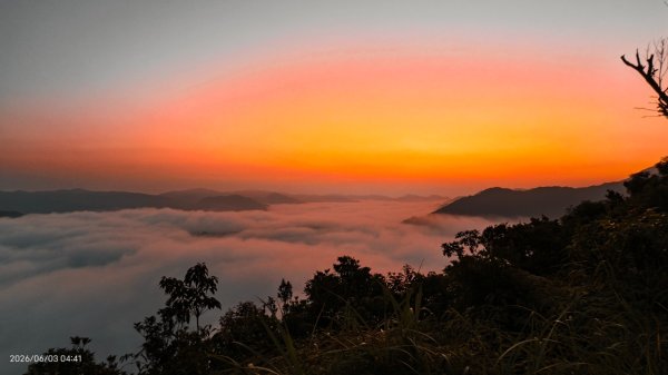 #坪林 #火燒雲 #日出 #雲海 #觀音圈 #金山 #花鳥蝶 6/3&4&163068863