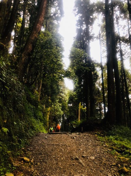 1090423鼓山出動特富野940982