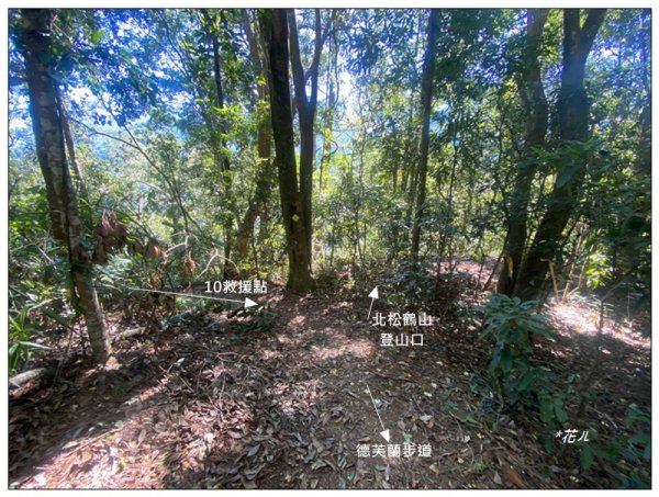 北松鶴山、德芙蘭步道 (台中 和平)2922144