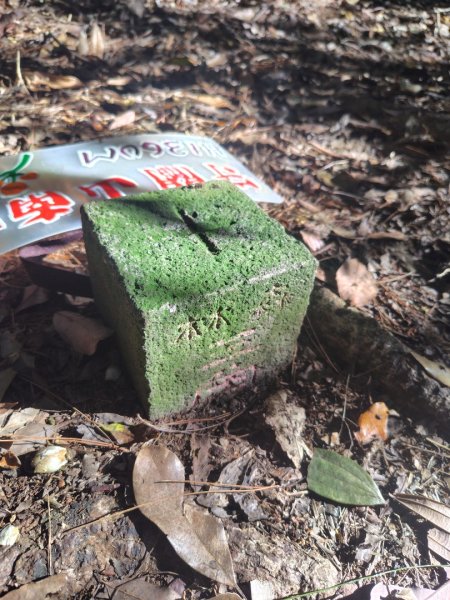 守關山南峰 守關山 守城大山2919139