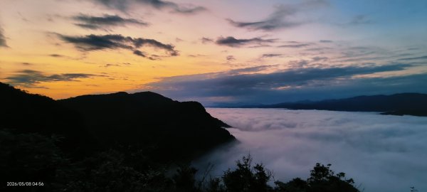 #翡翠水庫壩頂 #月亮 #日出 #雲海 #藍腹鷴母鳥 5/8&133050265