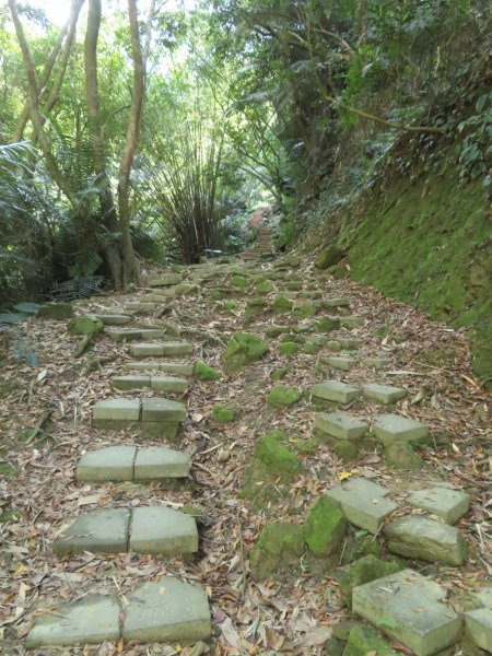 豐原三崁頂健康步道3上2下O形2696136