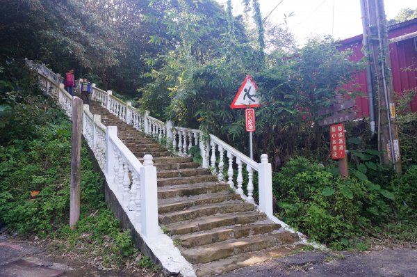 烘爐地登山步道(南勢角山)1968395