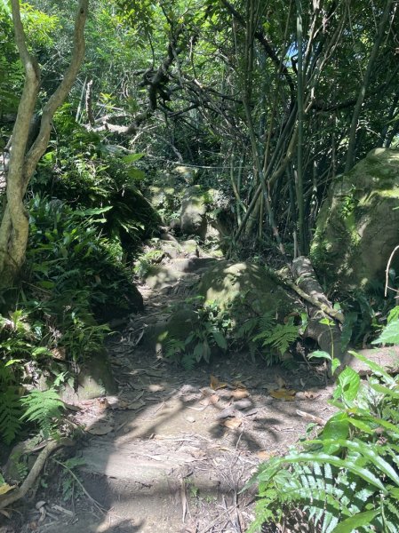 【鳶山山系】鳶山彩壁2858068