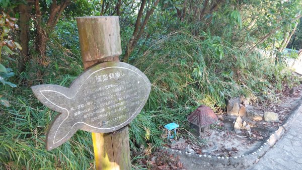 〔內湖三尖 〕忠勇山，鯉魚山，圓覺尖2118080
