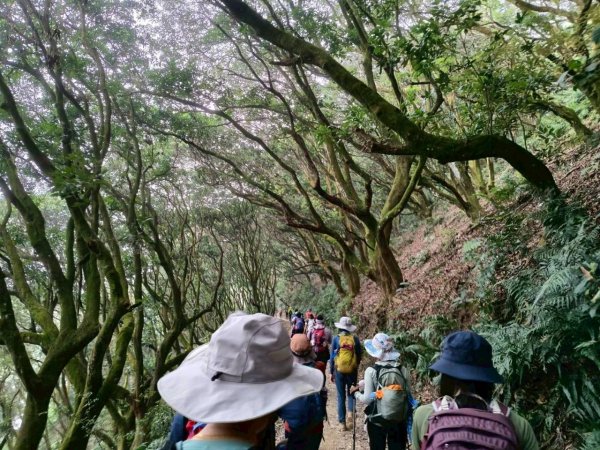 🌈12/14(日)南部最佳百岳練習場~小百岳-尾寮山✨FB：熊熊趴爬走🌈2961702